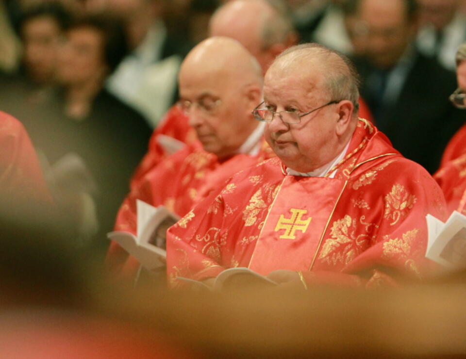 fot. PAP/Radek Pietruszka
