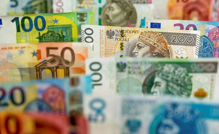 Co się dzieje z polską walutą? Oto kursy walut