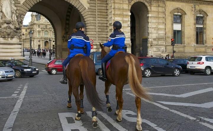 Policja konna we Francji  / autor: Pixabay