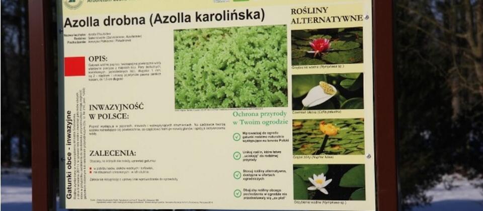 fot. .wfosigw.wroclaw.pl