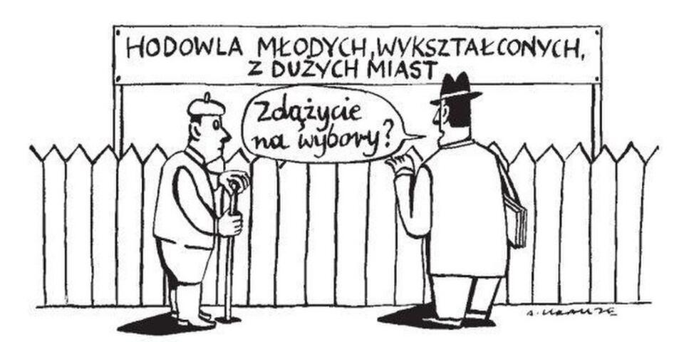 Rys. Andrzej Krauze