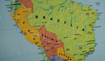 Międzynarodowy sojusz dla puszczy amazońskiej