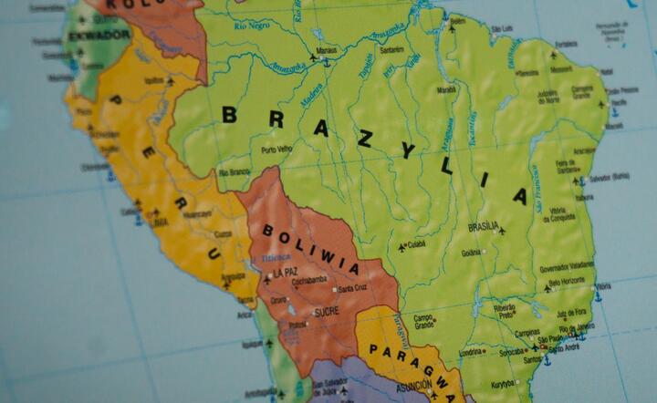 Międzynarodowy sojusz dla puszczy amazońskiej