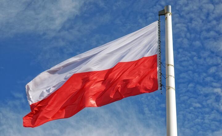Premier Morawiecki zapowiedział powołanie funduszu patriotycznego  / autor: Pixabay