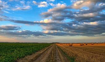 Papiernie mogą stać się źródłem surowca dla rolnictwa