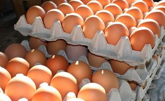 Ekspert: jaja najdroższe od 2012 roku
