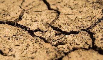 Jak będzie wyglądał monitoring suszy?