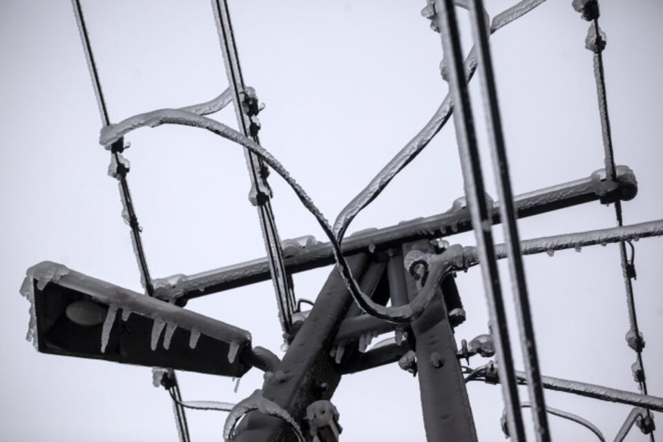 Fot. PAP/Michał Walczak