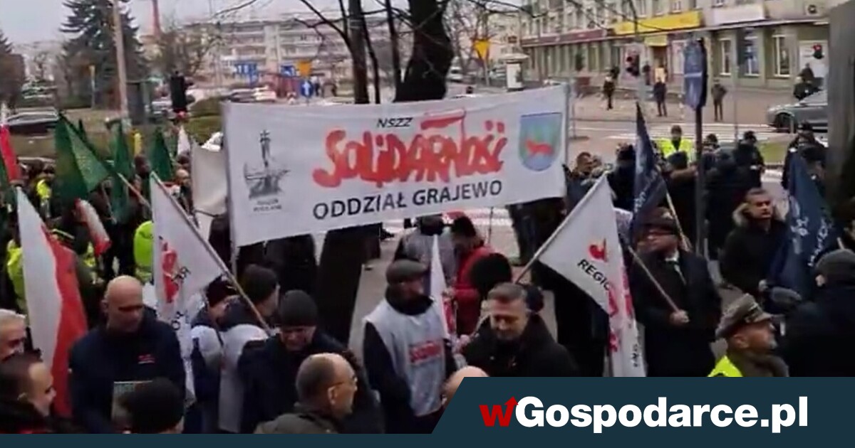 Leśnicy w obronie Lasów Państwowych: „dość bezprawia!”