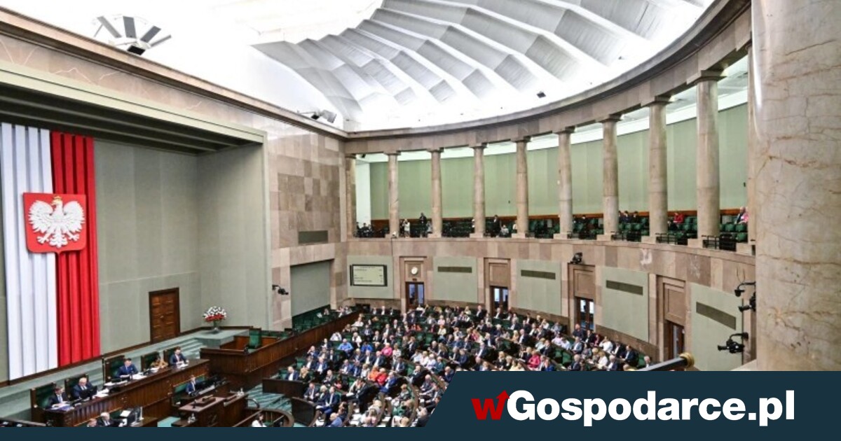 Hołownia in debt, Giertych helped Wipler financially