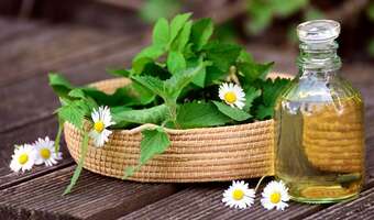 Tego mogłeś nie wiedzieć o pokrzywie