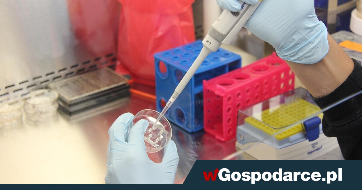 Coraz powszechniejsze. "Kupione badania naukowe"