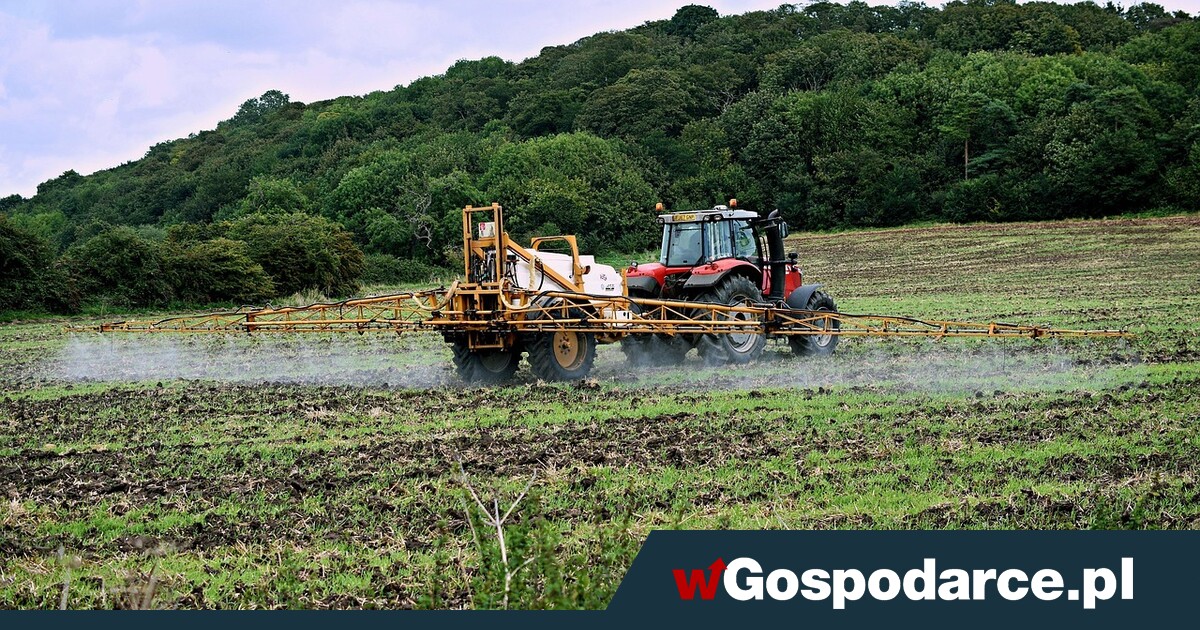 Eksportujemy więcej nawozów