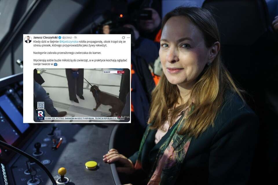 Katarzyna Pełczyńska-Nałęcz zabrała do Sejmu psa. Pupil był wyraźnie zestresowany. Na zdjęciu ilustracyjnym Pełczyńska-Nałęcz w siedzibie Kolei Śląskich oraz wpis posła PiS Janusza Cieszyńskiego (screen z portalu X) / autor: PAP/Jarek Praszkiewicz, X/Janusz Cieszyński (screen)