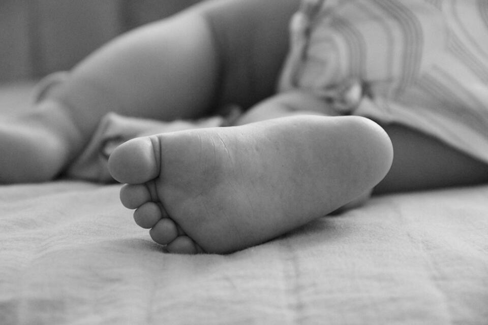 fot. FreeImages