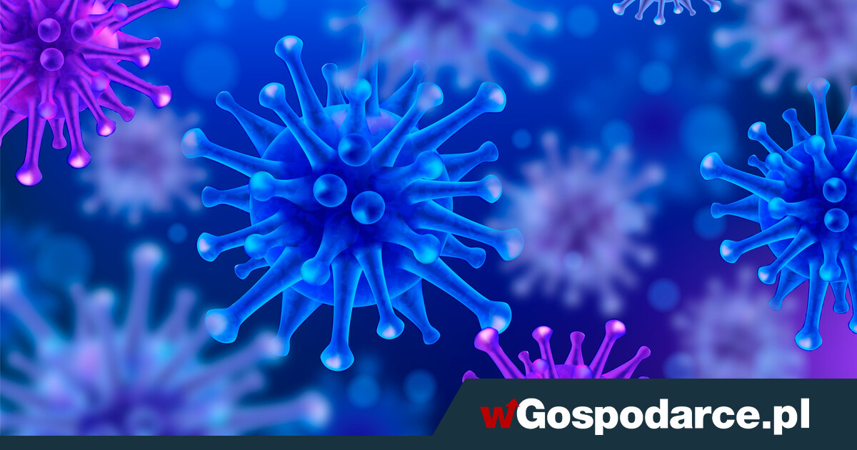 Groźna choroba atakuje na Warmii i Mazurach