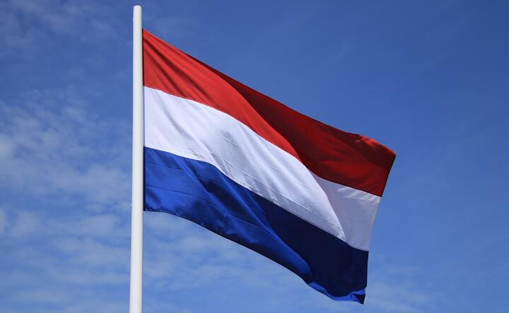 Holandia / autor: Pixabay