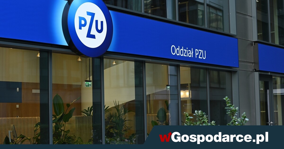 PZU wchłonie znaną firmę ubezpieczeniową