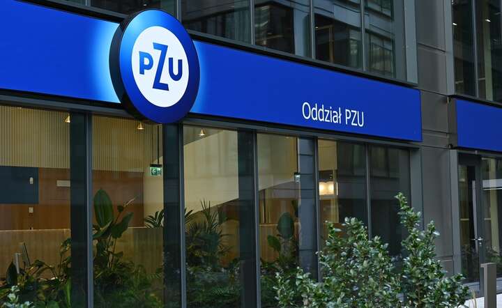 PZU połączy się z LINK4 / autor: Fratria / KK