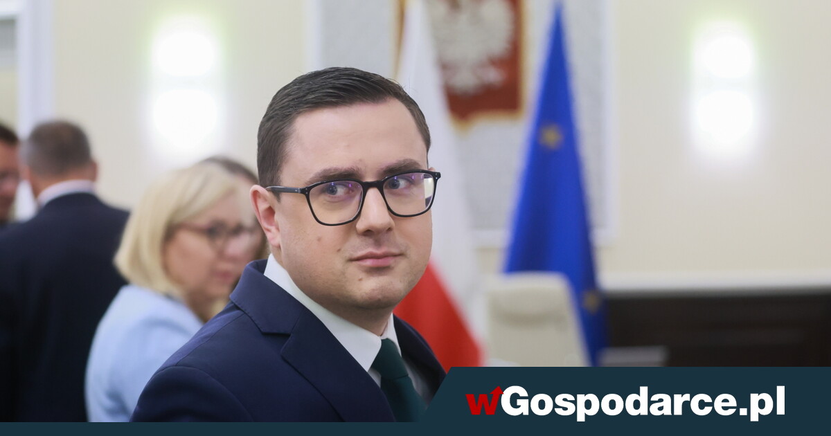 Minister energii o cenach prądu. Będą dalej mrożone?