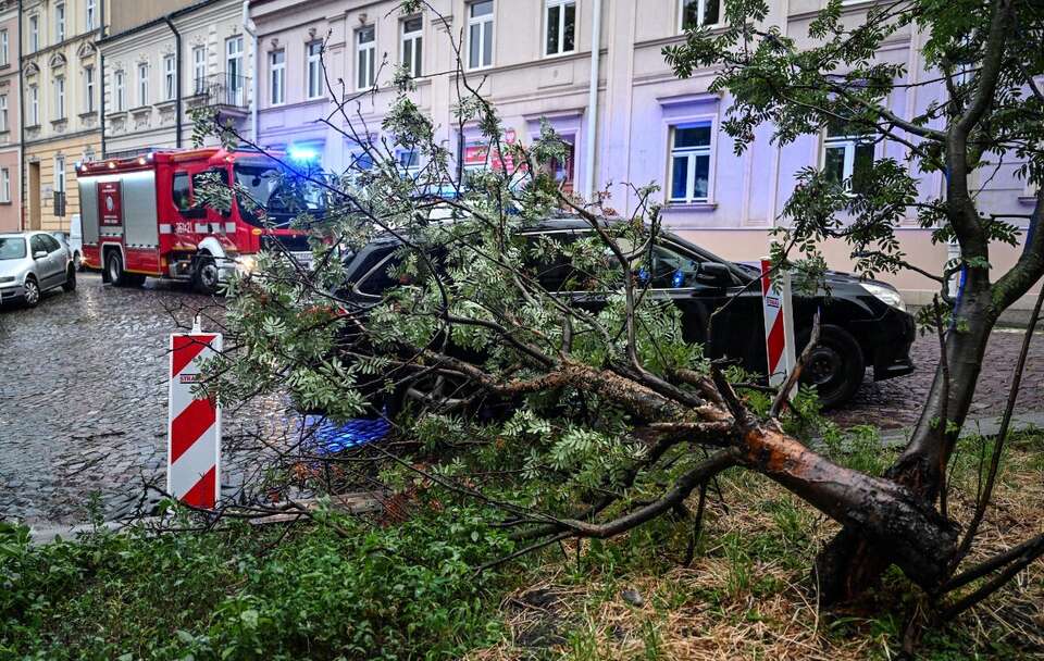Strażacy usuwają zniszczenia po burzy w Przemyślu, 7 bm. / autor: PAP/Darek Delmanowicz