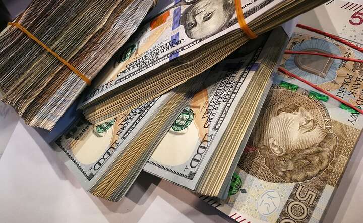 Euro i dolar są najdroższe od miesiąca, frank i funt kosztują najwięcej od połowy kwietnia / autor: Pixabay