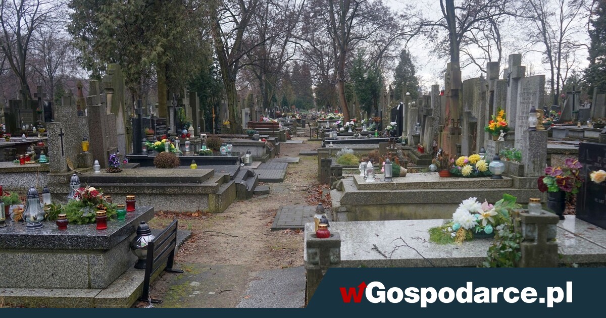 Kodeksy na cmentarzu. Co grozi za złamanie przepisów?