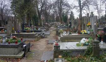 Kodeksy na cmentarzu. Co grozi za złamanie przepisów?