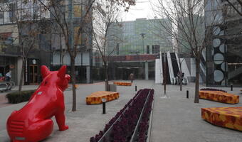 Pierwsza ofiara śmiertelna koronawirusa w Pekinie