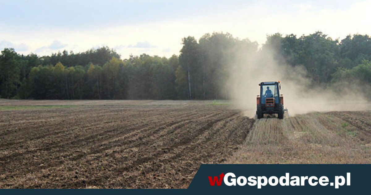 Wyższe premie dla młodych rolników. Na start 300 000 zł