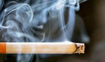 Czy świat wolny od papierosowego dymu jest możliwy?