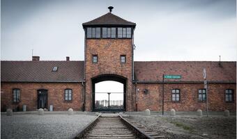 Bardzo dobry pomysł! Wyprawy Żydów do Auschwitz powinny zaczynać się w Berlinie