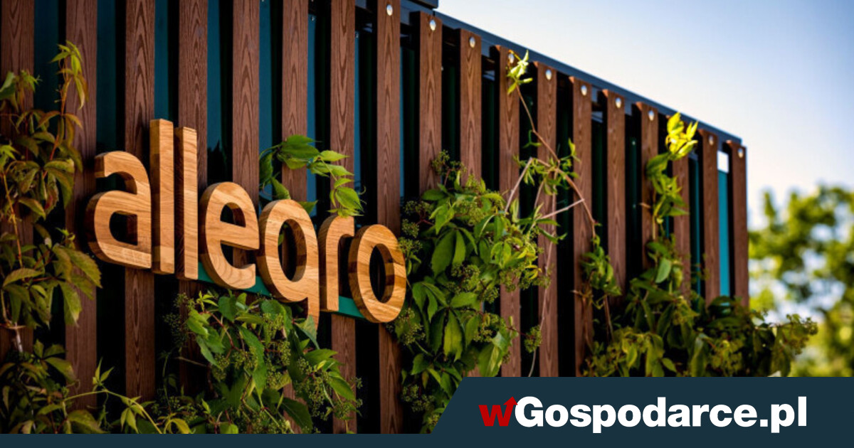 Allegro - tutaj kupisz wszystko… choćby lekarza i wakacje