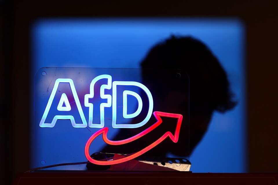 Logo AfD / autor: PAP/EPA