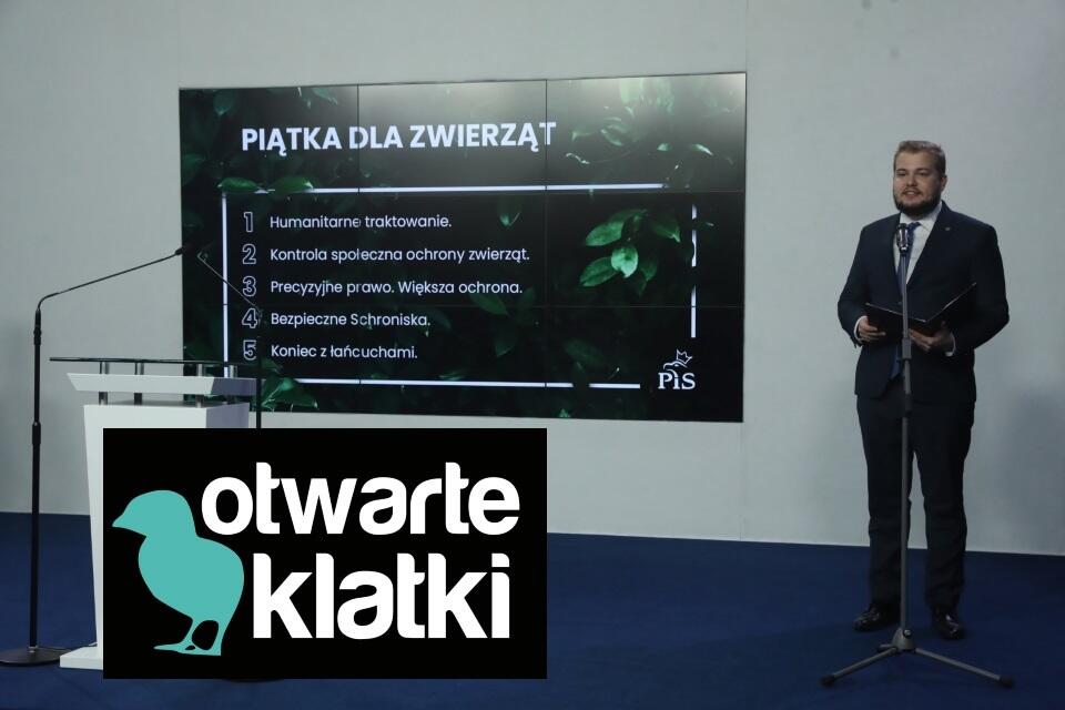 autor: 	PAP/Tomasz Gzell