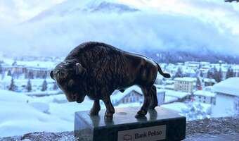 Bank Pekao szuka partnerów do ekspansji