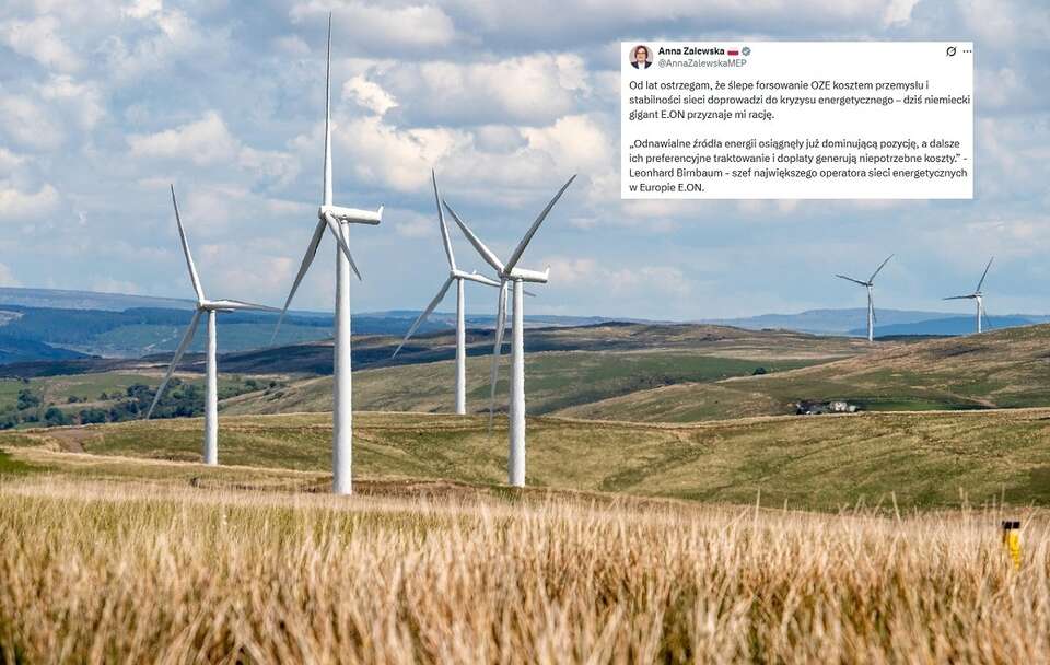 Szef E.ON. chce, by Niemcy zaprzestały preferować OZE!