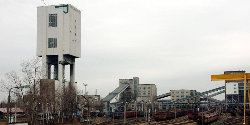 Fot. Petr Štefek/GFDL/CC/Wikimedia Commons