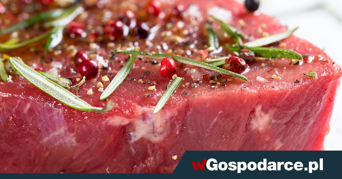 Masz niski poziom żelaza? Zobacz jak temu zaradzić