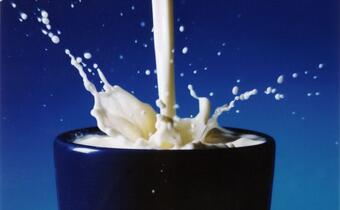 Pomoc dla produkujących mleko potrzebna od zaraz