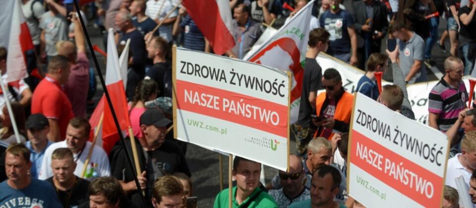 Protest rolników, sadowników oraz producentów wieprzowiny, zorganizowanego w Warszawie / autor: PAP/Jakub Kamiński