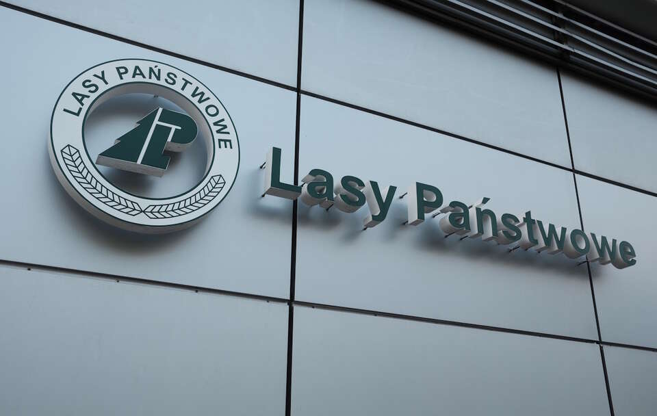 Lasy Państwowe / autor: Fratria