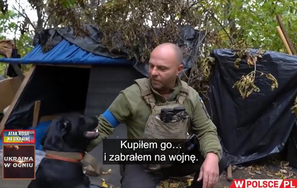 Pies Kep i ukraiński żołnierz / autor: wPolsce.pl