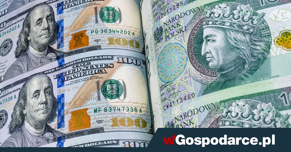 Tajemnicze ETF. Czym są i jak wpływają na wyniki NBP?