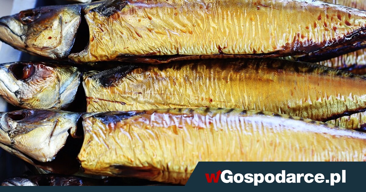 Makrela czy łosoś – co wybrać?