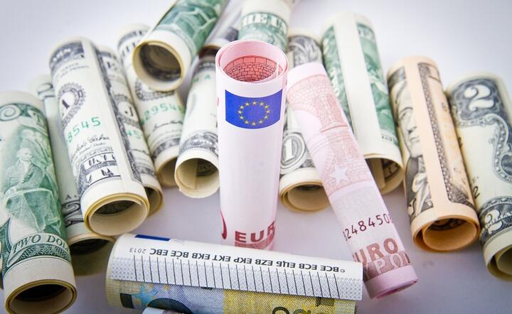Wciąż dominuje szersza tendencja rynkowa gry na reflację i odbicie wzrostu, której beneficjantami powinny być waluty EM, euro i rynek akcji Starego Kontynentu / autor: Pixabay