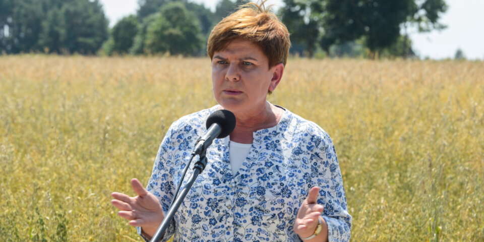 Fot. PAP/Jakub Kamiński