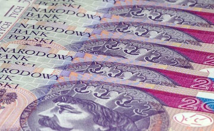 Polskie władze monetarne są dziś najbardziej gołębie w regionie Europy Środkowej i Wschodniej / autor: Pixabay