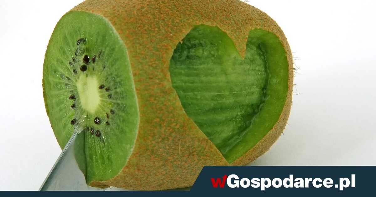 Wszystko, co warto wiedzieć o cholesterolu