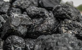 Niemcy mogą zastąpić rosyjski węgiel do końca roku